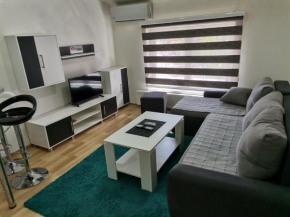 Centar Apartman ENMI 111